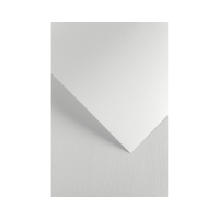 Karton wizytówkowy A4 240g biały płótno (20)