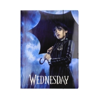 Teczka gumka A4 Wednesday Astra 108024011