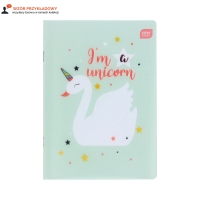 Zeszyt A5/16 kratka PP Magiczny Interdruk