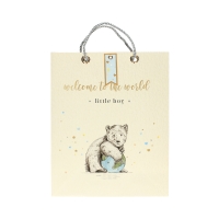 Torebki ozdobne papierowe 32x12x26 Little Boy L - 5szt.