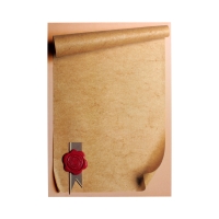 Dyplom A4 170g Pieczęć - 25 szt.