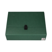 Teczka rączka A4 zielona 100mm MAXI Delfin