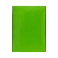 Teczka skrzydłowa rzep zielona 20mm Caribic