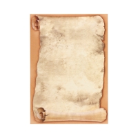 Dyplom A4 170g Papirus - 25 szt.