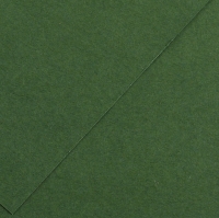 Karton kolor A3 185g ciemnozielony Iris210 Canson