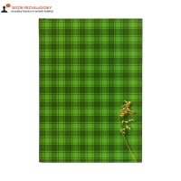 Brulion A5/300 kratka TO Kreska