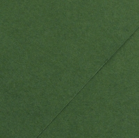 Karton kolor 70x100 200g ciemnozielony Iris225 Canson