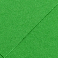 Karton kolor A3 185g jasnozielony Iris29 Canson