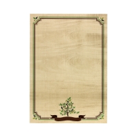 Dyplom A4 170g Natura - 25szt.