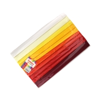 Bibuła marszczona mix/2 25x200/10 Happy Color HA36402521