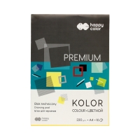 Blok techniczny A4/10 kolor 220g Happy Color Premium