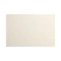 Karton wizytówkowy A4 120g Nature jasnobeżowy (50)