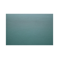 Karton wizytówkowy A4 220g zielony Iceland (20)