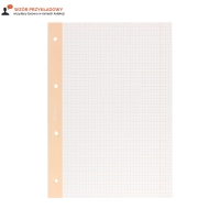 Wkład segregatorowy A4/50 kratka/kolorowa margines Interdruk