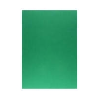 Karton kolor A3 zieleń bilardowa Iris209 Canson
