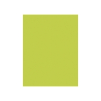 Karton kolor 50x70 jasnozielony 270g Happy Color