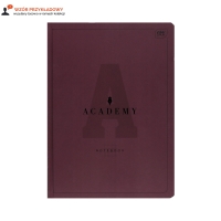Brulion A4/96 kratka Academy Interdruk 90g