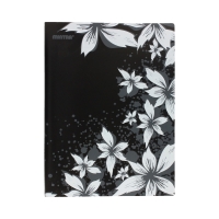 Teczka ofertowa A4 Batique Display Book czarna