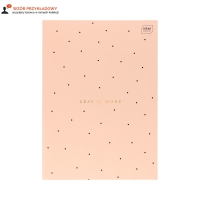 Brulion A4/64 kratka PT Hybrid Interdruk