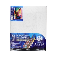 Zestaw do malowania farbami wg numerów Portret modern ASTRA 801022905