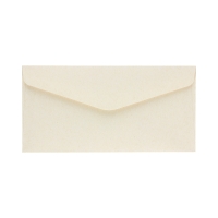 Koperty DL jasnobeżowe Nature 120g (10)