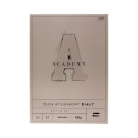 Blok rysunkowy A3/20 Academy Interdruk 100g