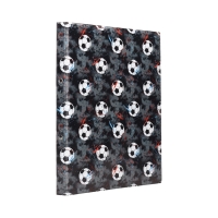 Segregator A4/20/2R nadruk Piłka Biurfol