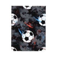 Okładka dokumenty ucznia pionowe Piłki Biurfol