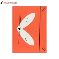 Teczka gumka A5+ Friends Boys BB