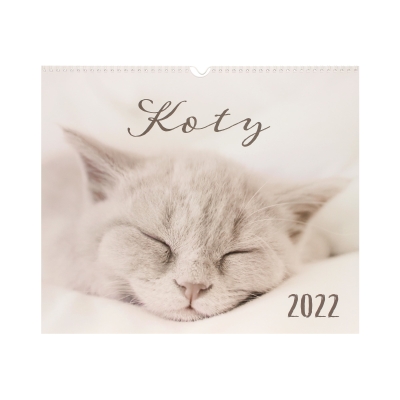 Kalendarz planszowy 33.5x40 Koty Interdruk