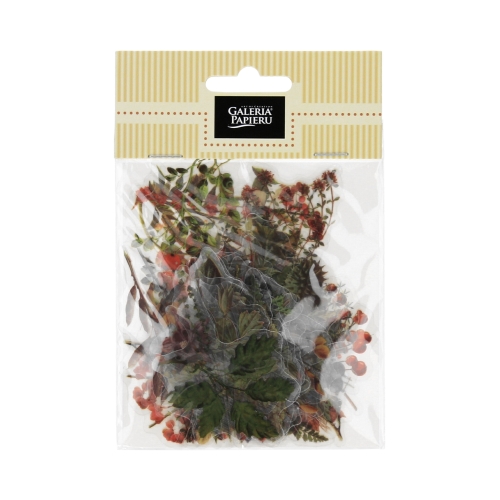 Naklejki ozdobne transparentne Skarby Lasu (40)