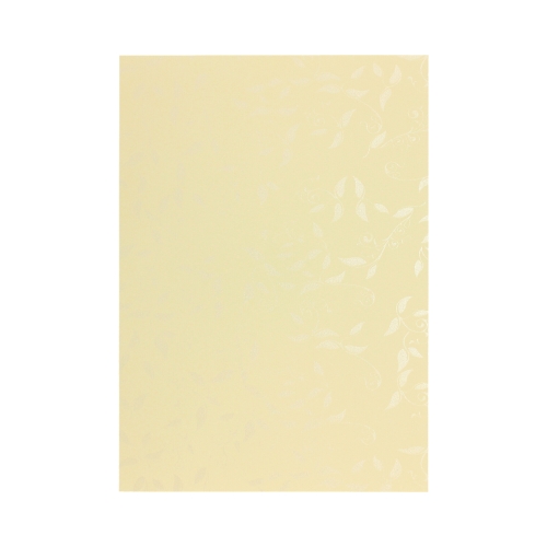 Papeteria DL kremowa Millenium 10szt. + papier A4 Liana 20ark.