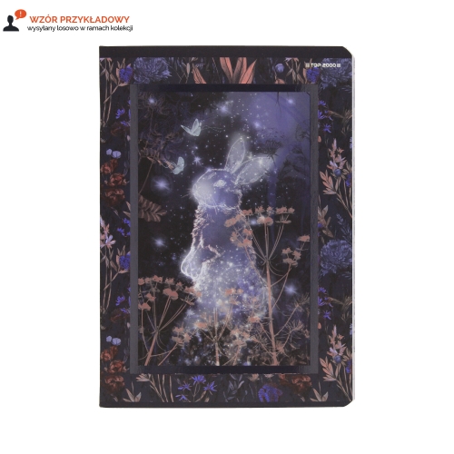 Zeszyt A5/32 linia Fairytale Top2000 400182422