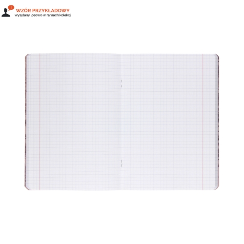 Zeszyt A5/60 kratka Fairytale Top2000 400182429
