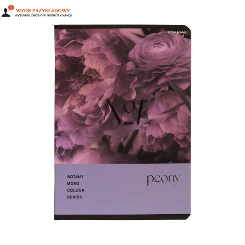 Zeszyt A5/60 kratka Botany Top2000 400182432