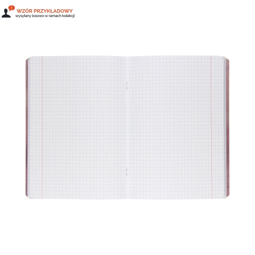 Zeszyt A5/60 kratka Botany Top2000 400182432