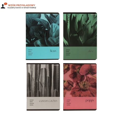 Zeszyt A5/60 kratka Botany Top2000 400182432