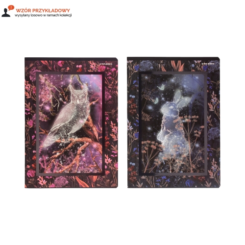 Zeszyt A4/60 kratka Fairytale Top2000 400181618