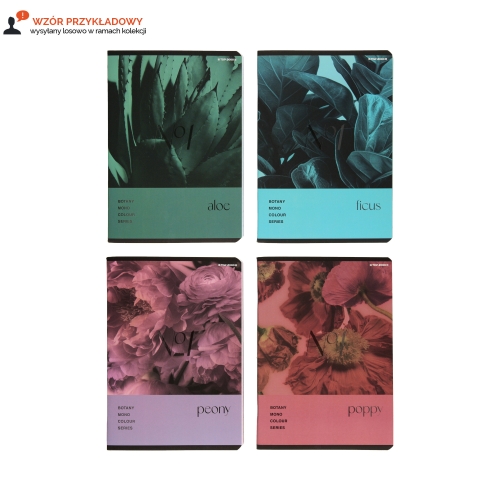 Zeszyt A5/80 kratka Botany Top2000 400181619