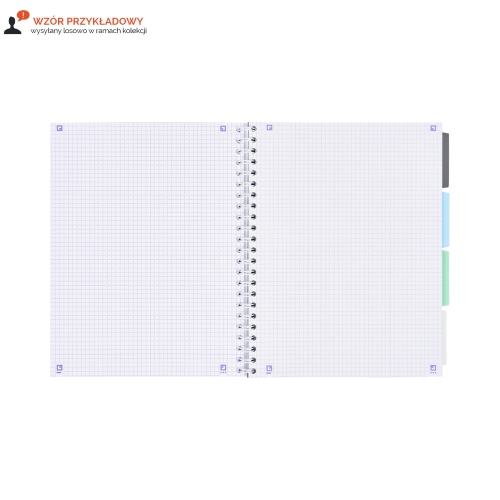 Kołozeszyt B5/80 kratka pastel Project Book Oxford 400182995