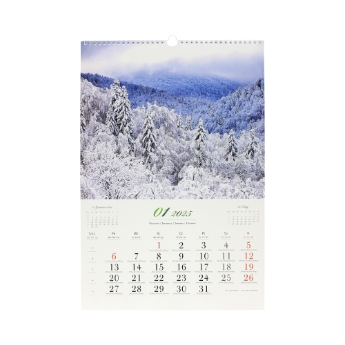 Kalendarz wieloplanszowy Lasy Polskie RW06