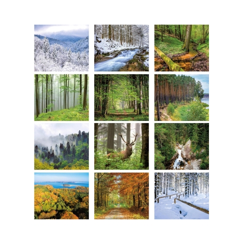 Kalendarz wieloplanszowy Lasy Polskie RW06