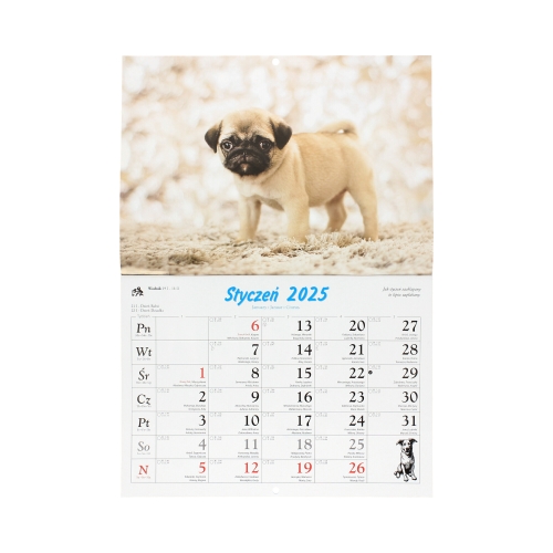 Kalendarz wieloplanszowy Psy domowe WL08