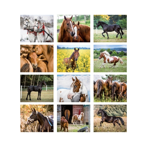 Kalendarz wieloplanszowy Konie w obiektywie RW15