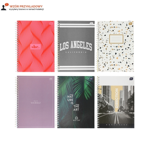 Kołobrulion A4/100 kratka 4kol margines Interdruk 3249