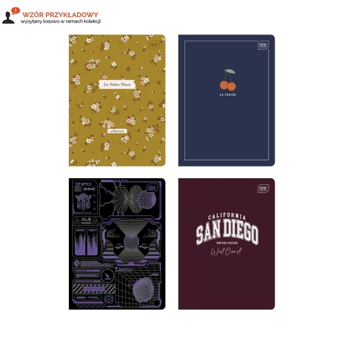 Zeszyt A5/60 linia Interdruk