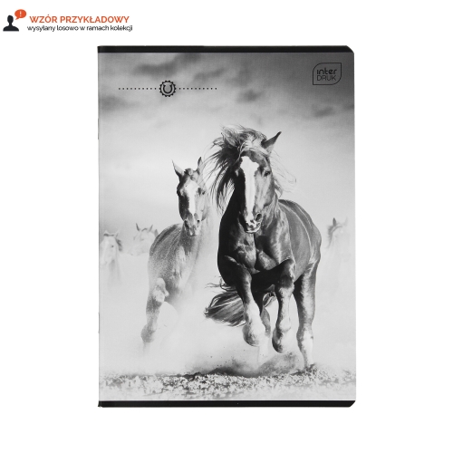 Zeszyt A5/32 kratka Interdruk