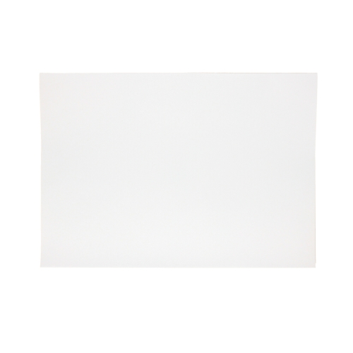Blok rysunkowy A3/20 biały 70g Wektor