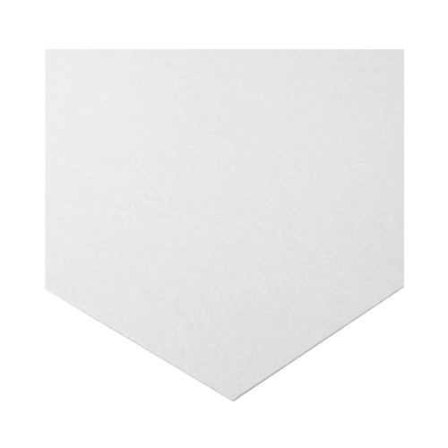 Karton ozdobny A4 246G biała/skóra MP (25)