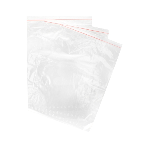 Woreczki strunowe 310x430 Zipper (100)